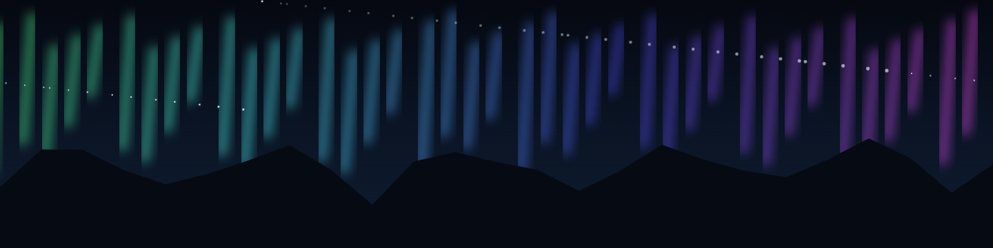 Aurora Night